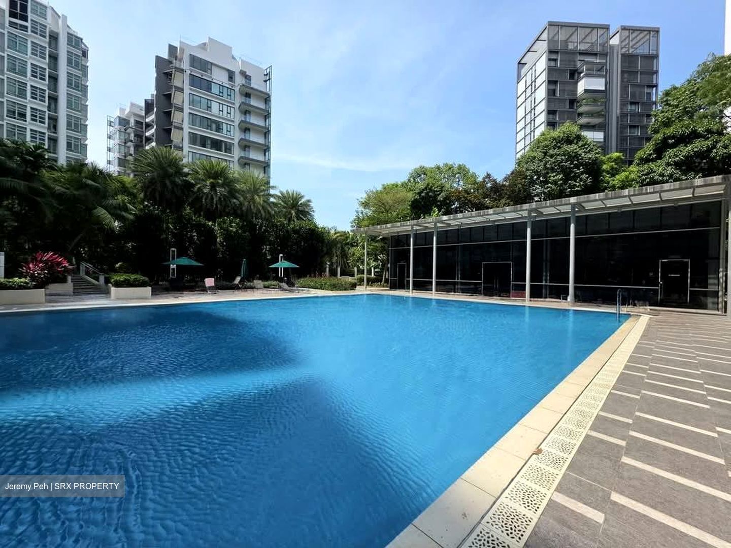 Cairnhill Crest (D9), Condominium #585001281